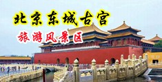 疯狂抽插女人大逼视频中国北京-东城古宫旅游风景区